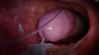 Hard sex with a friend in alternate poses&comma; animation from the game